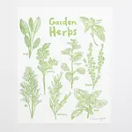 Macon York Press Garden Herbs Print