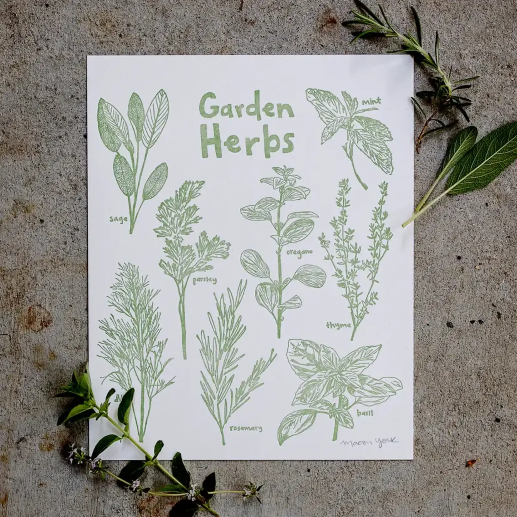 Macon York Press Macon York Press Print Garden Herbs 8 x 10