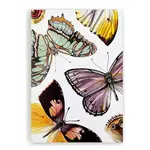 J6R6 J6R6 Notebook Winged Things 1