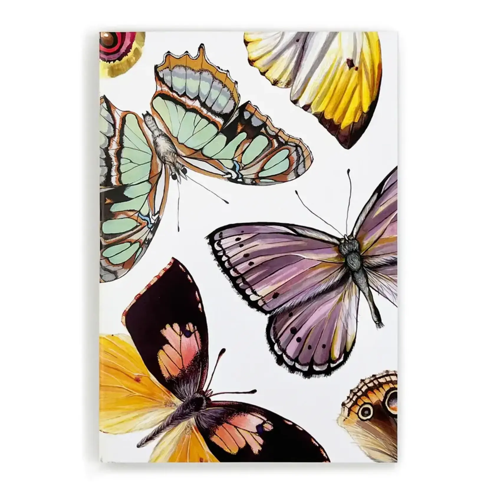 J6R6 J6R6 Notebook Winged Things 1