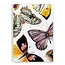 J6R6 Winged Things 1 Notebook