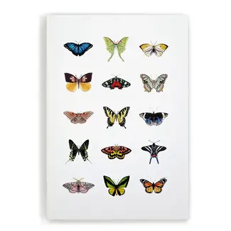 Winged Things Notebook