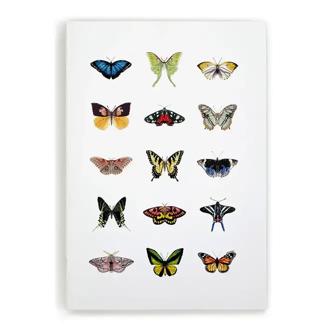 J6R6 Winged Things Notebook