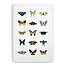 J6R6 Winged Things Notebook