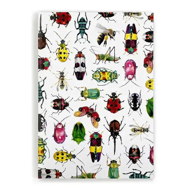 J6R6 J6R6 Notebook Critters 1