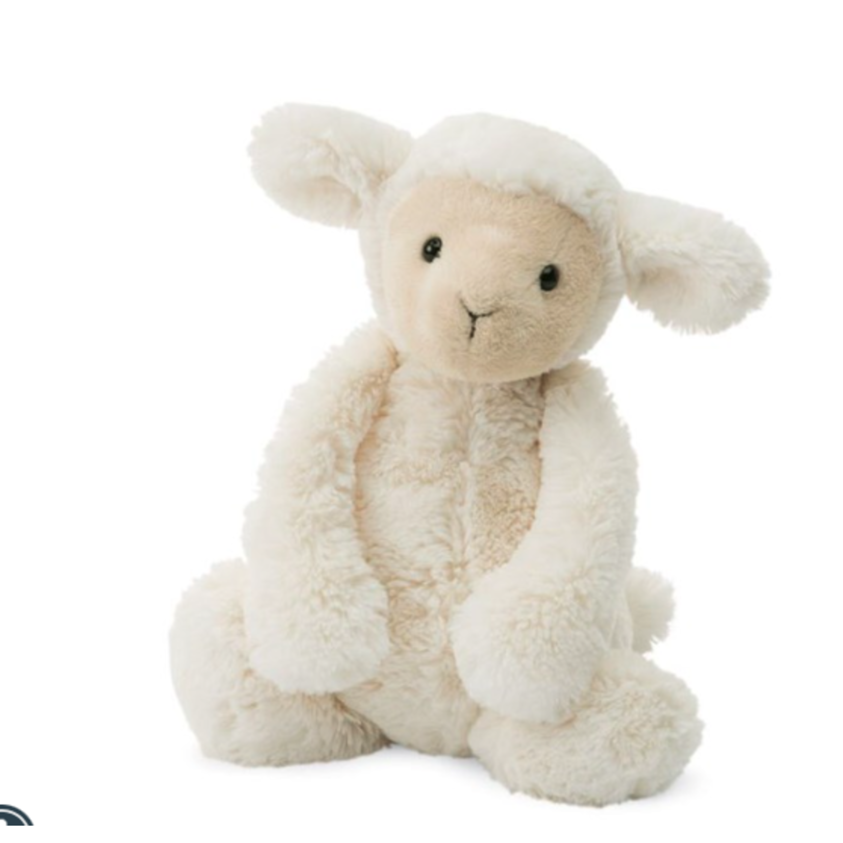 Bashful Lamb Original