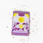 Bath Salt Soak The Moon