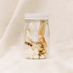 Cocktail Kit 16oz Sweater Weather