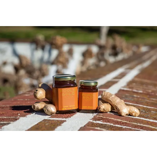 Fool's Gold Honey Ginger Infused NC Honey - 5.75 oz