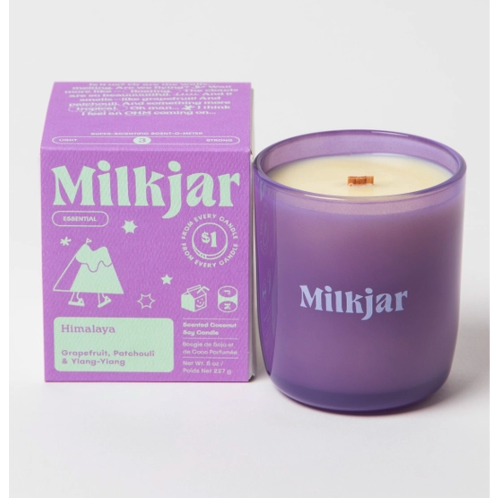 Milk Jar Himalaya Candle 8oz - Coconut Soy