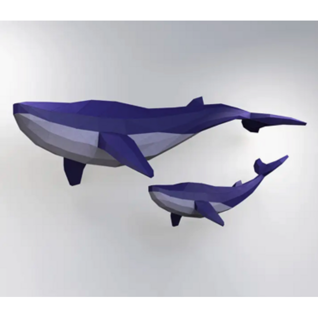 Paper Model Kit 3D Whales