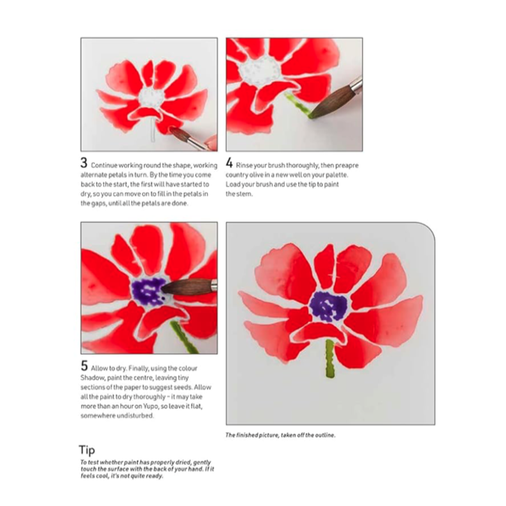 Watercolour Flowers for the Absolute Beginner