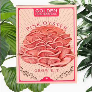 Mushroom Grow Kit - Pink Oyster