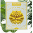 Mushroom Grow Kit - Golden Oyster