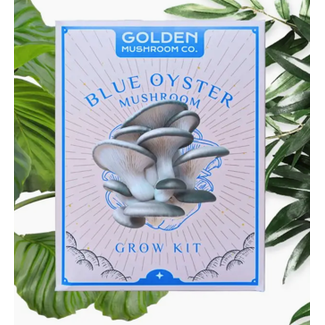 Mushroom Grow Kit - Blue Oyster