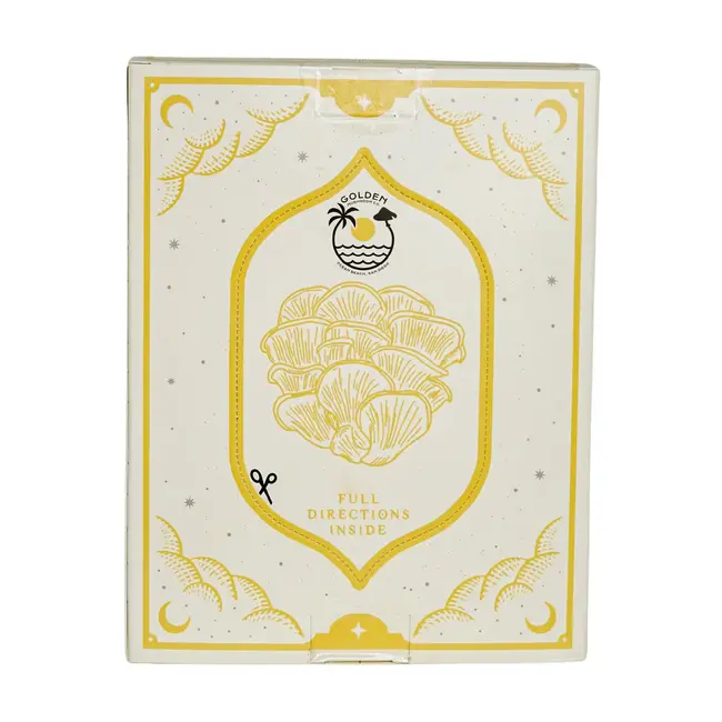 Mushroom Grow Kit - Golden Oyster