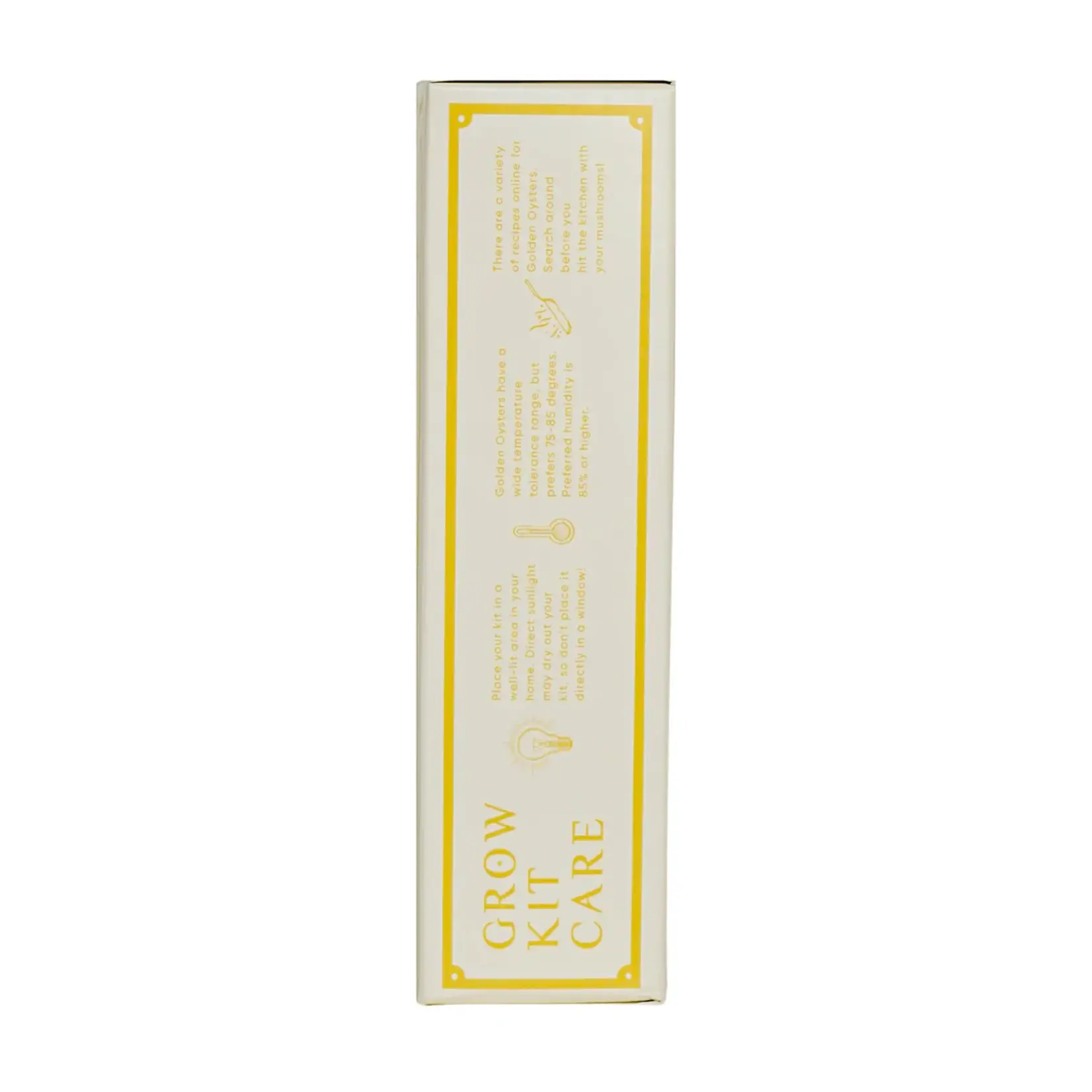 Mushroom Grow Kit - Golden Oyster