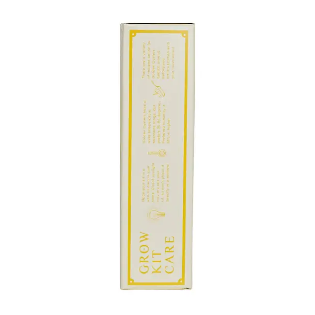 Mushroom Grow Kit - Golden Oyster