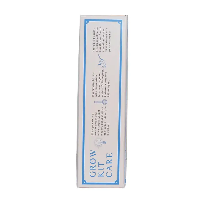 Mushroom Grow Kit - Blue Oyster