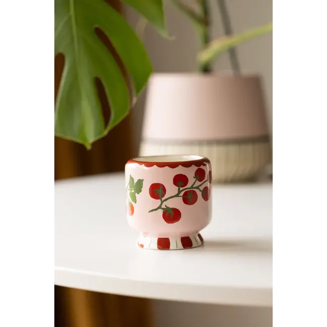 A Dopo Candle 8oz  - Tomato Vine