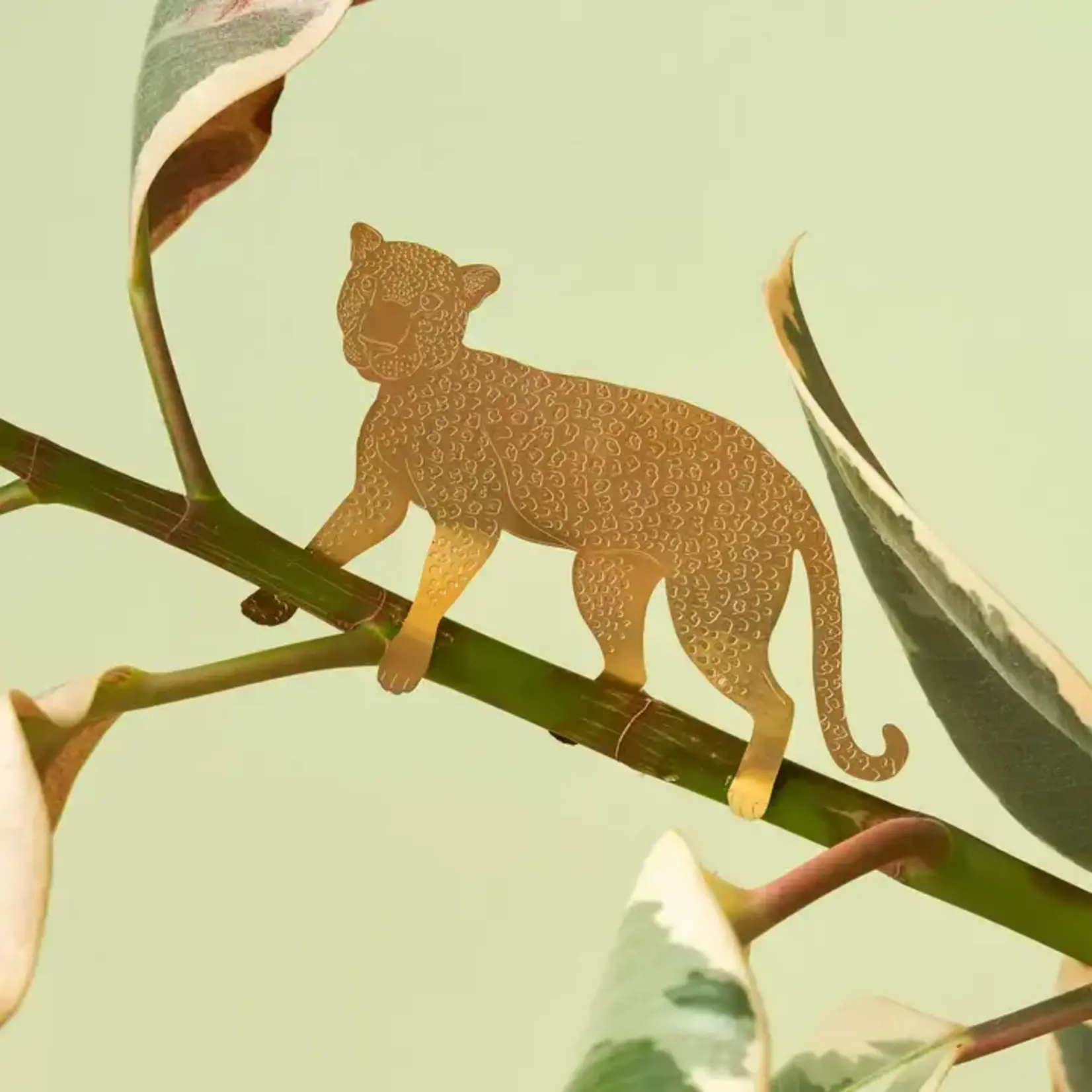 Plant Animal - Large Leopard