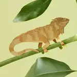 Plant Animal - Large Iguana