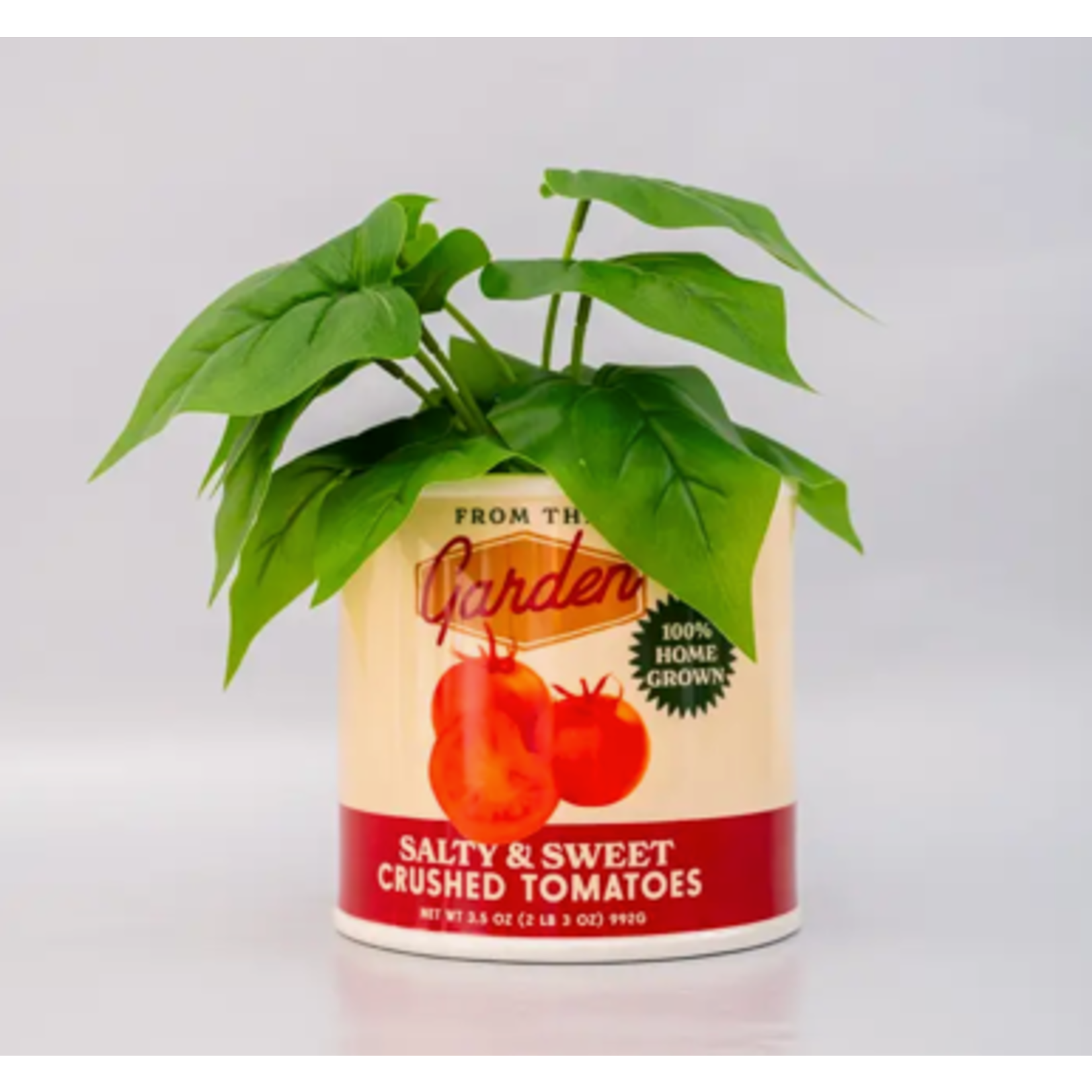 Ceramic Vase Tomato Can