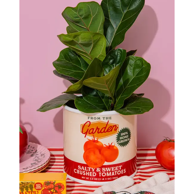 Ceramic Vase Tomato Can