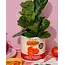Ceramic Vase Tomato Can
