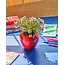 Ceramic Vase Strawberry Fields