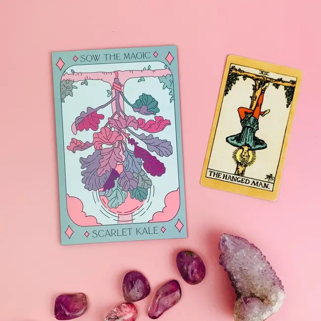 Sow the Magic Tarot Garden + Gift Seed Packet Scarlet Kale