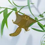 Plant Animal - Flying Squirrel