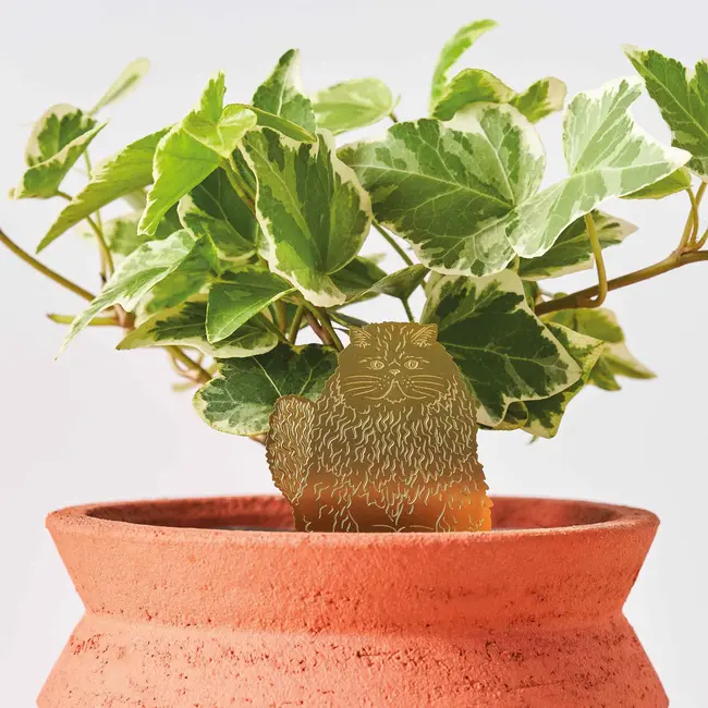 Plant Animal - Long-Haired Cat