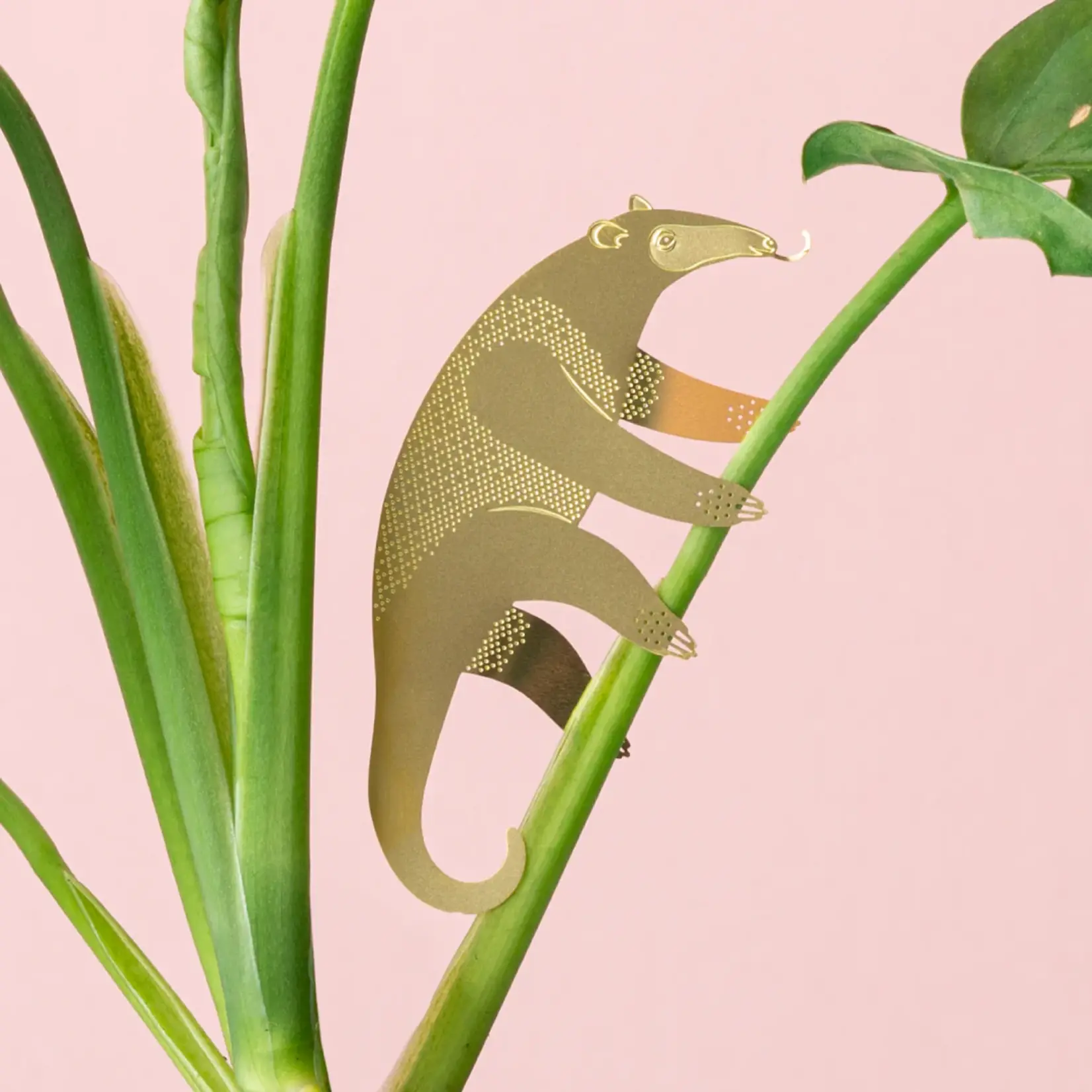 Plant Animal - Anteater