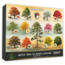 Highland Creek Puzzles Native Trees of NC Puzzle - 1000 Piece