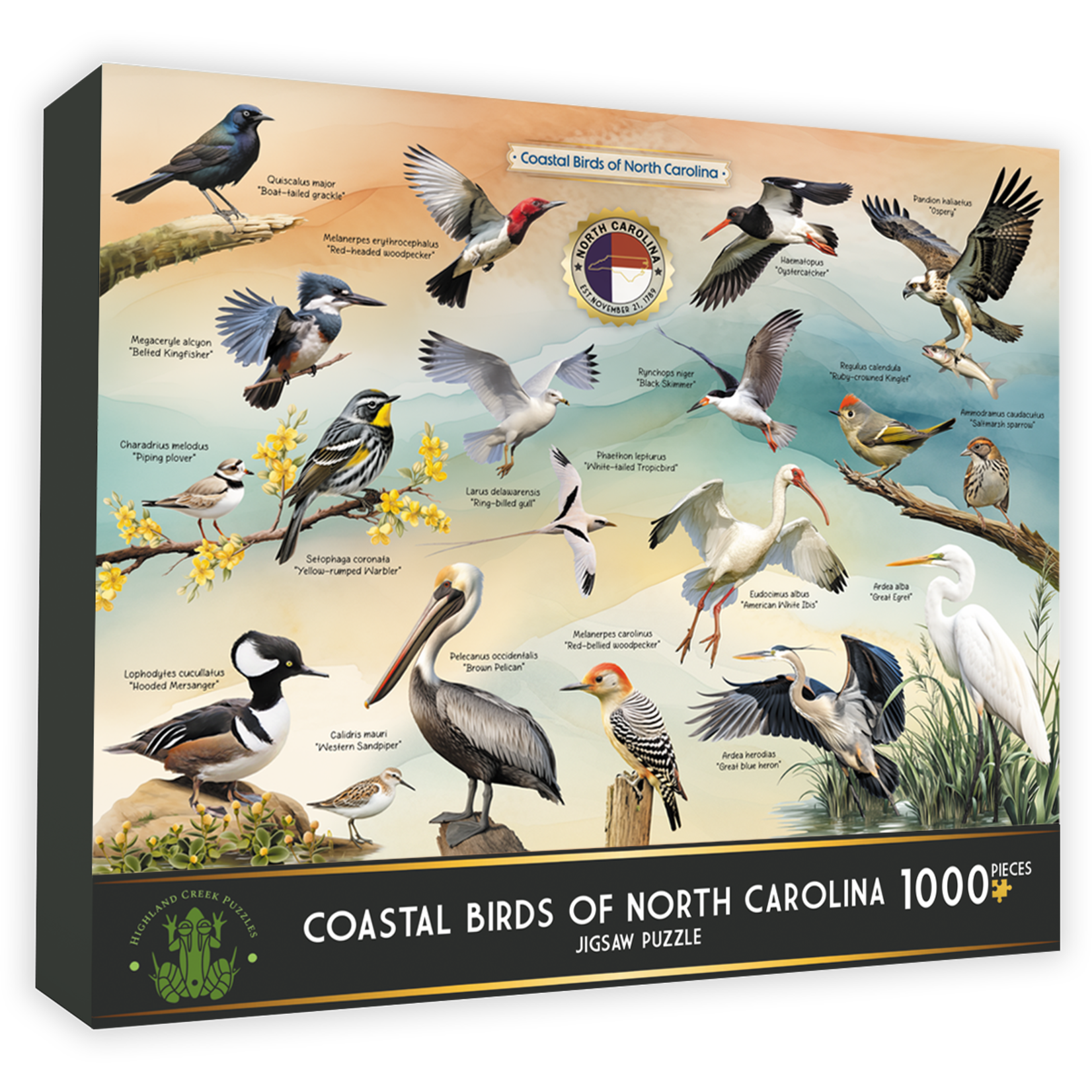 Coastal Birds of NC Puzzle - 1000 Piece