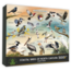 Highland Creek Puzzles Coastal Birds of NC Puzzle - 1000 Piece