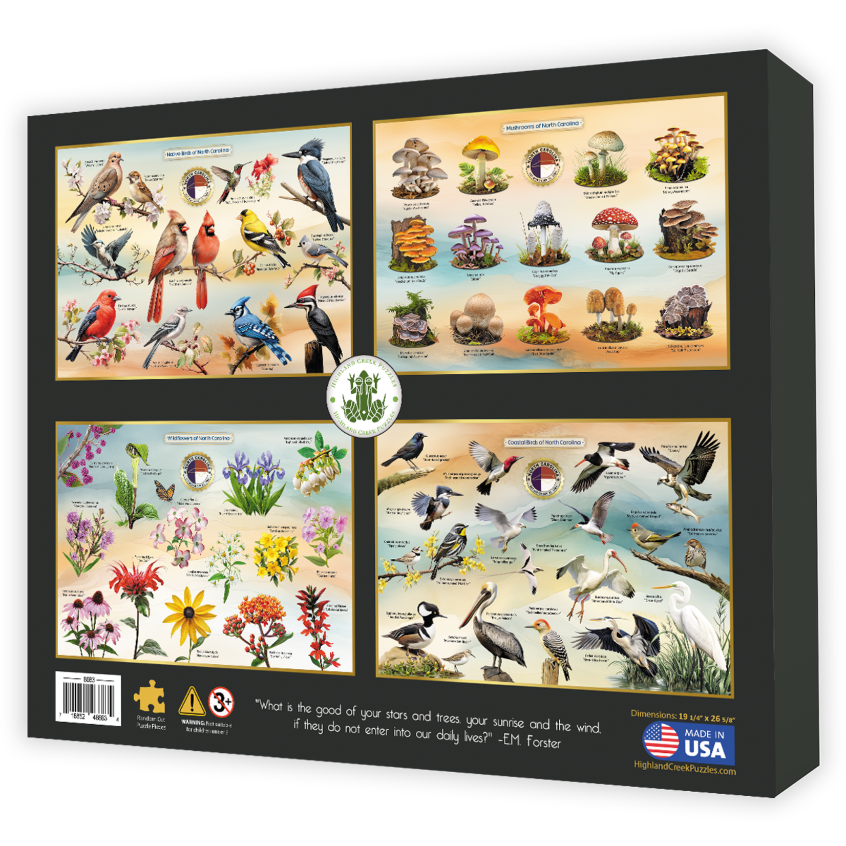 Aquatic Life of NC Puzzle - 1000 Piece