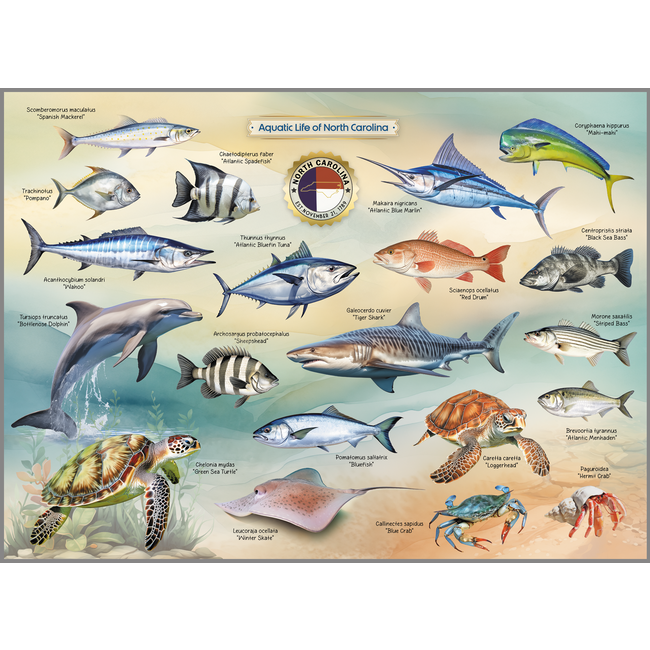 Highland Creek Puzzles Aquatic Life of NC Puzzle - 1000 Piece