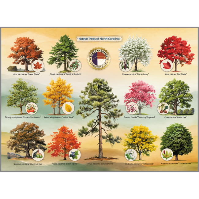 Highland Creek Puzzles Native Trees of NC Puzzle - 1000 Piece
