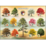 Highland Creek Puzzles Native Trees of NC Puzzle - 1000 Piece