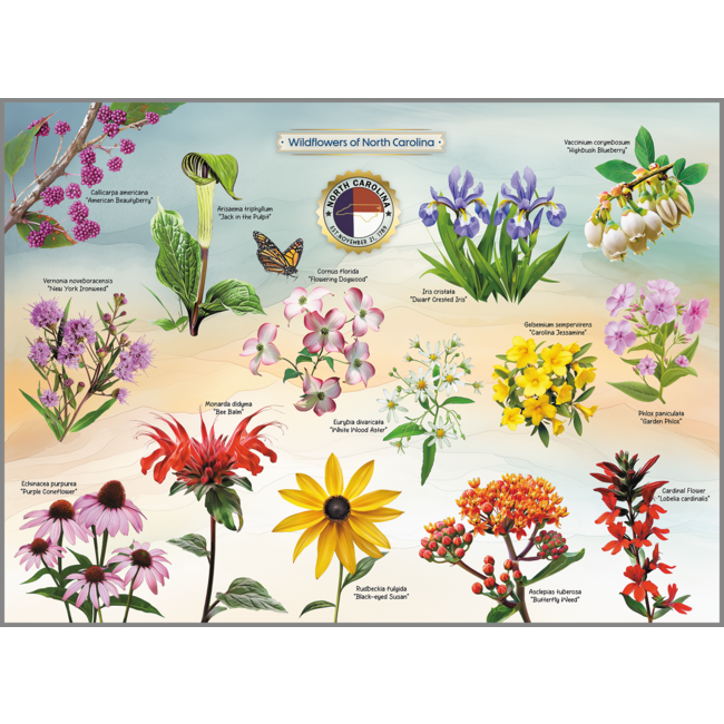 Highland Creek Puzzles Wildflowers of NC Puzzle - 1000 Piece