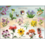 Highland Creek Puzzles Wildflowers of NC Puzzle - 1000 Piece