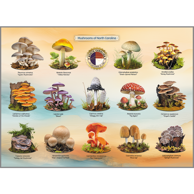 Highland Creek Puzzles Mushrooms of NC Puzzle - 1000 Piece