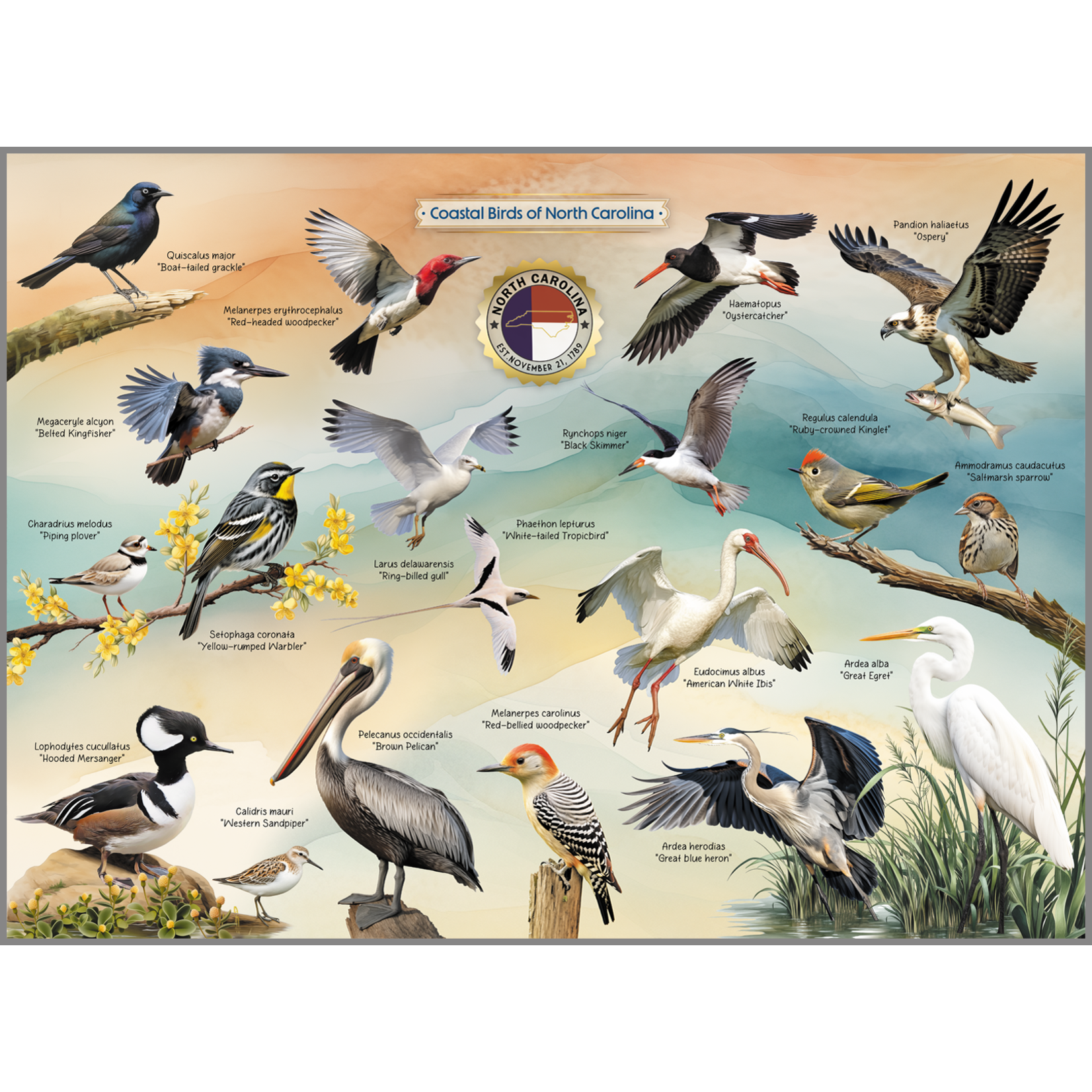 Coastal Birds of NC Puzzle - 1000 Piece