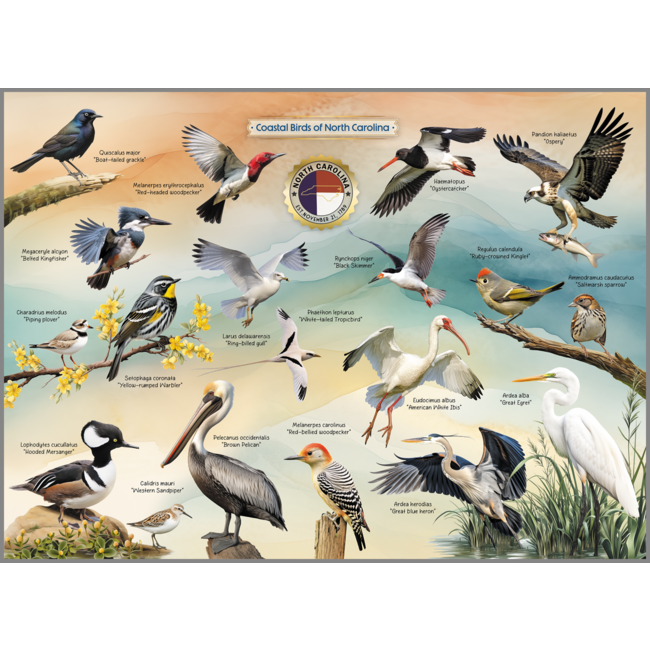 Highland Creek Puzzles Coastal Birds of NC Puzzle - 1000 Piece