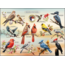 Highland Creek Puzzles Native Birds of NC Puzzle - 1000 Piece