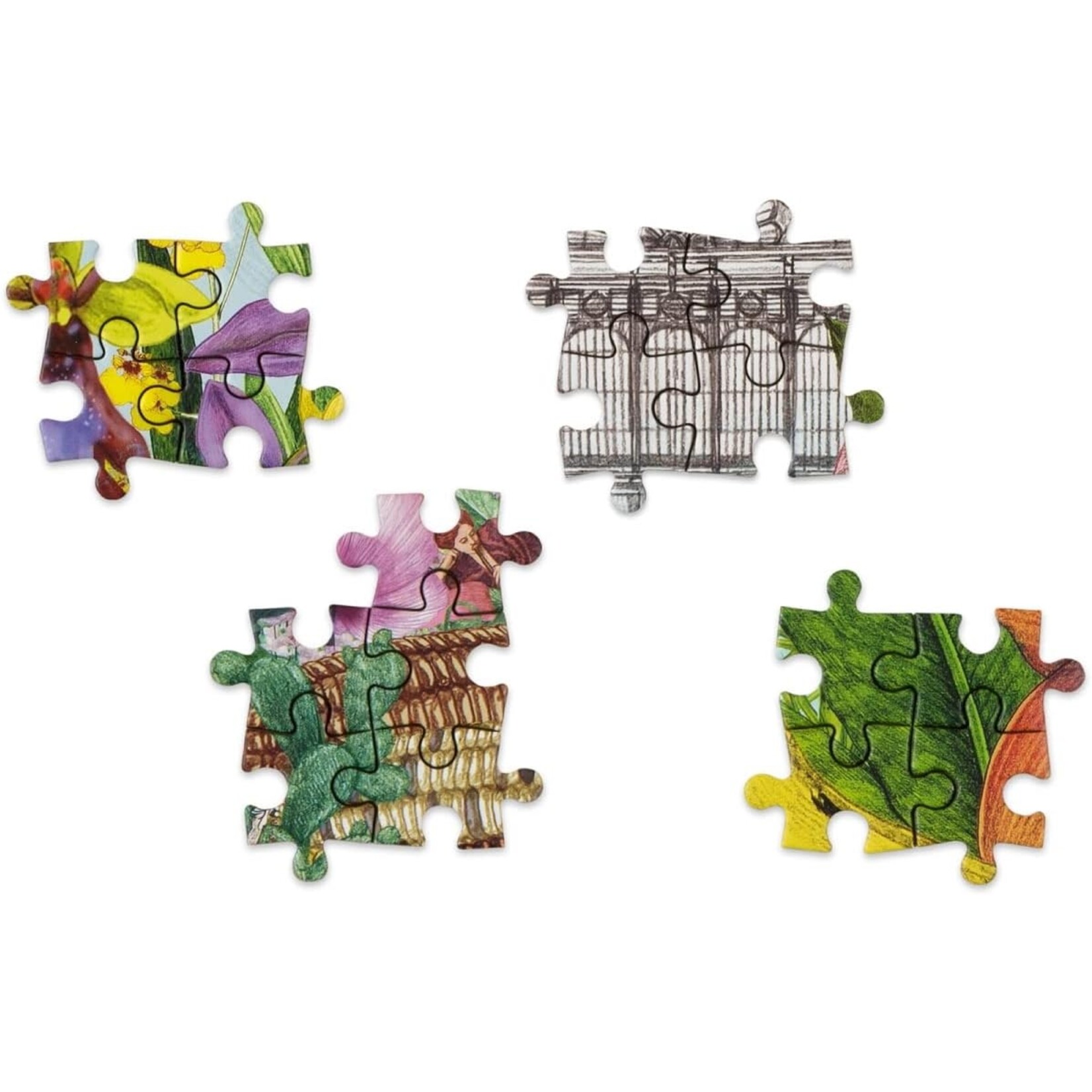 Around the World in 50 Plants Puzzle - 1000 Piece