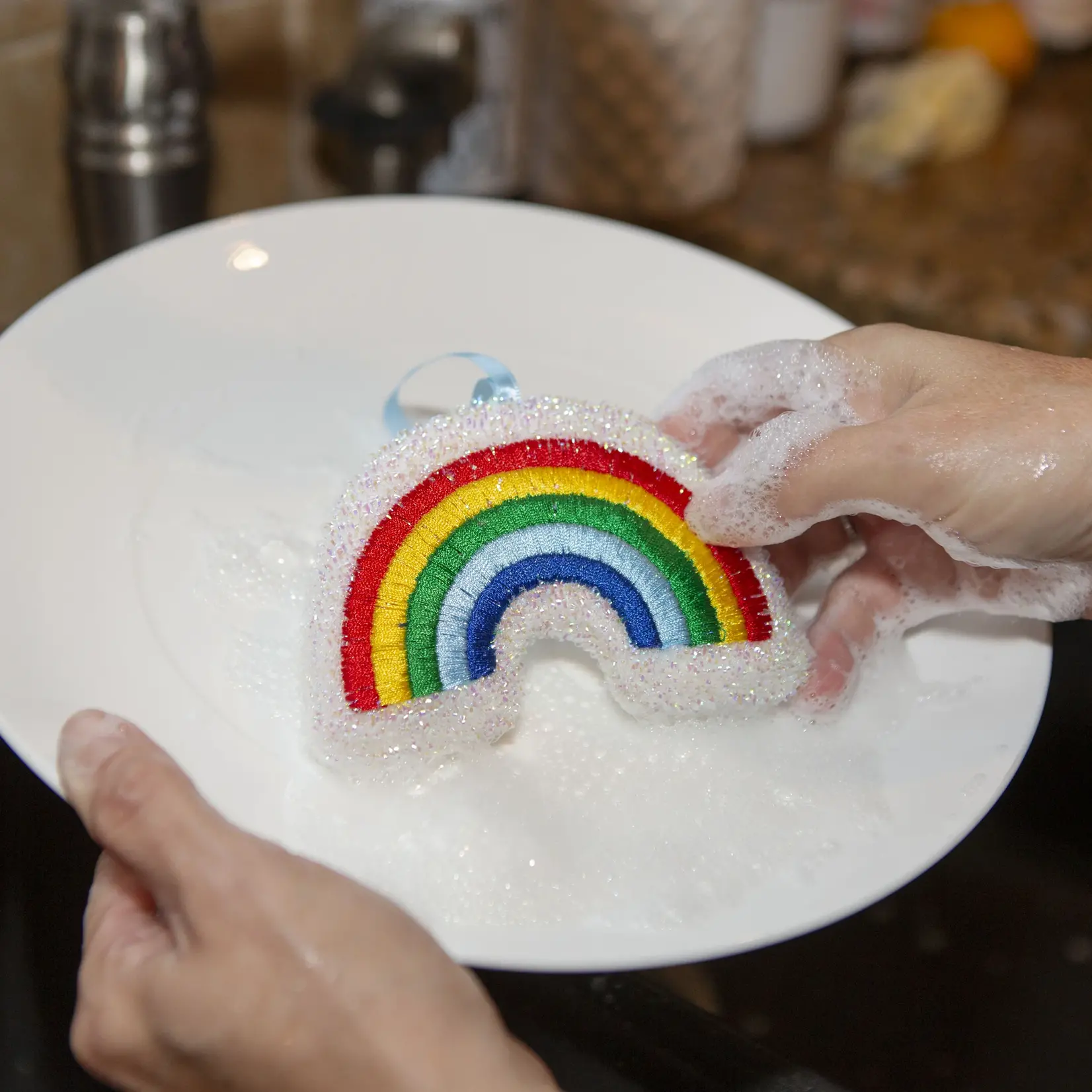 Rainbow Sponge