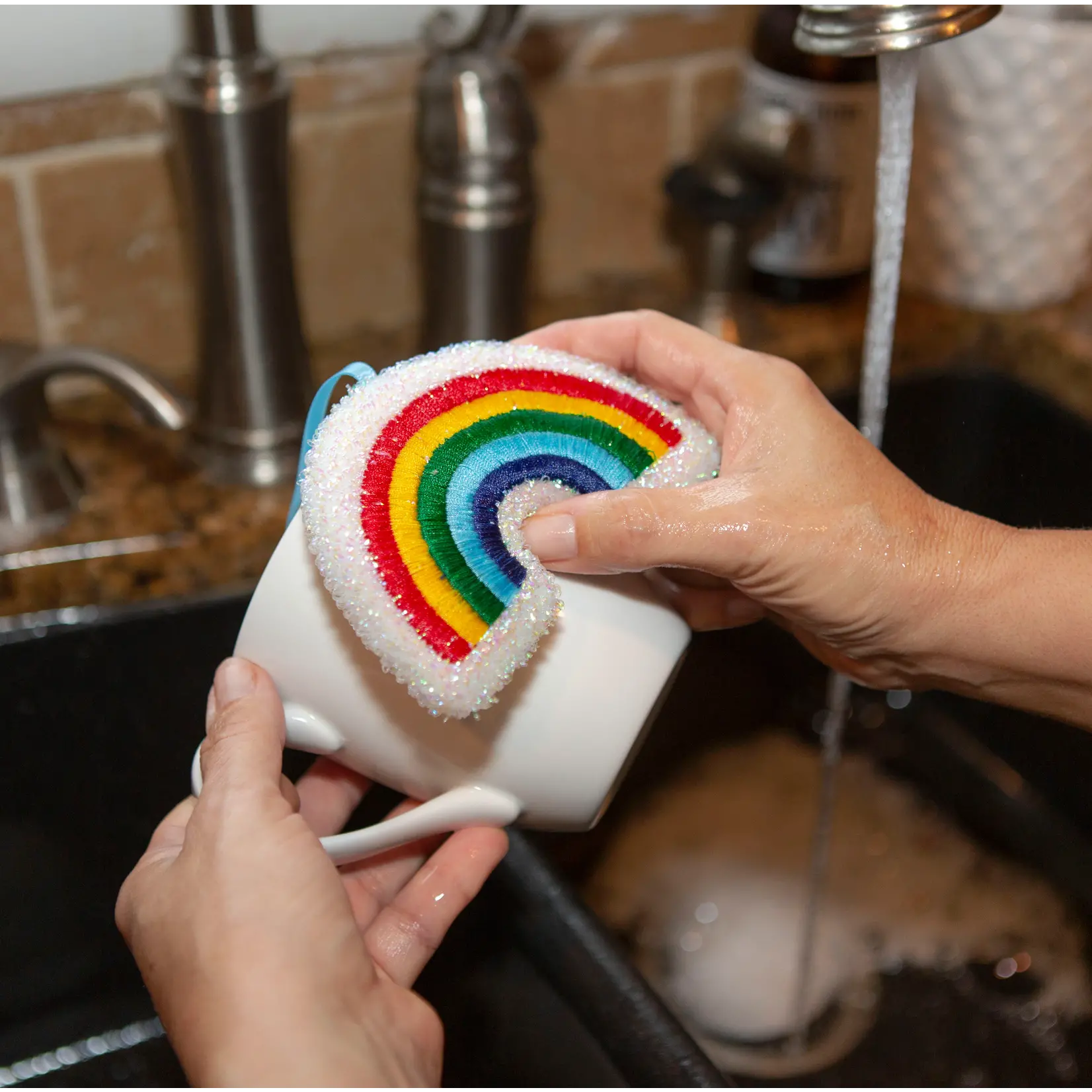 Rainbow Sponge